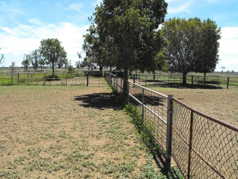 Coonamble NSW 2829