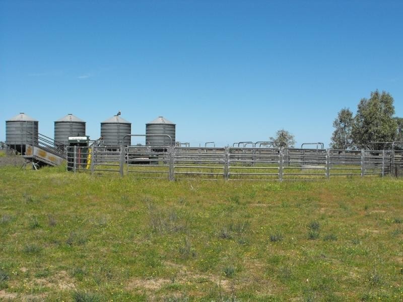 Coonamble NSW 2829