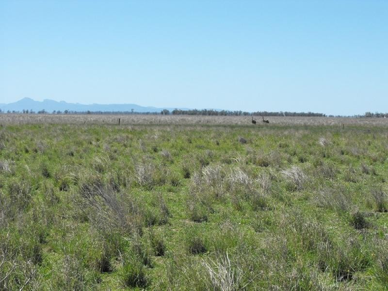 Coonamble NSW 2829