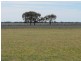 Coonamble NSW 2829