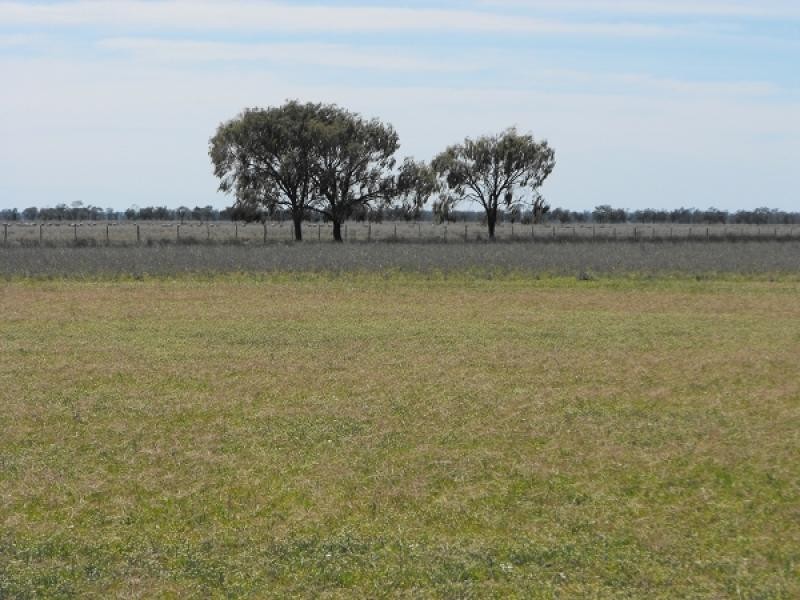 Coonamble NSW 2829