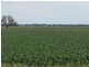 Coonamble NSW 2829