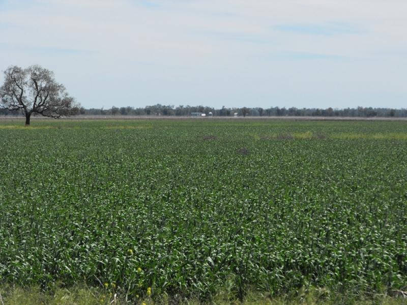 Coonamble NSW 2829