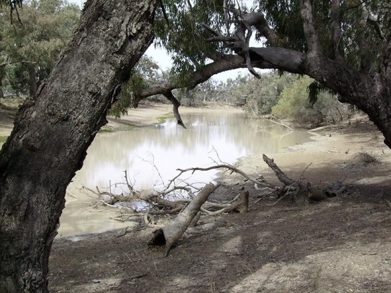 Brewarrina NSW 2839