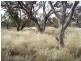 Brewarrina NSW 2839
