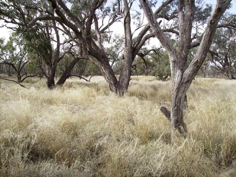 Brewarrina NSW 2839