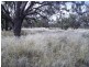 Brewarrina NSW 2839