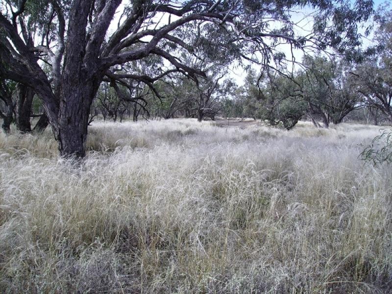 Brewarrina NSW 2839