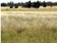 Tottenham NSW 2873