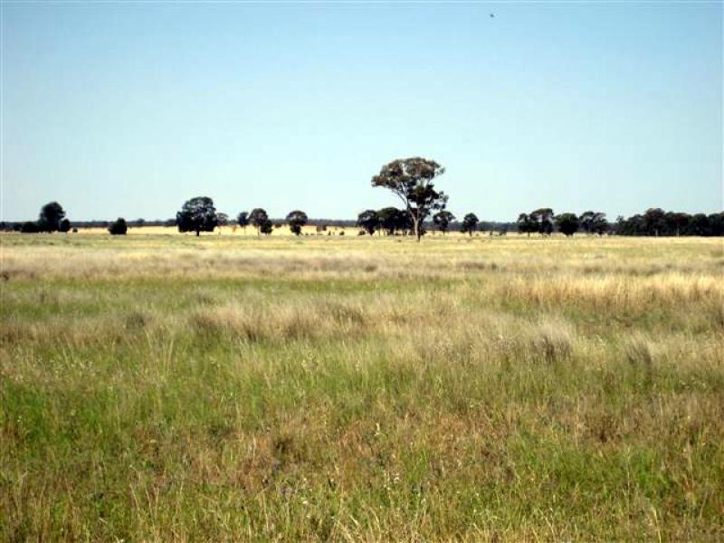 Tottenham NSW 2873