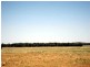 Tottenham NSW 2873