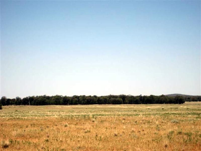 Tottenham NSW 2873