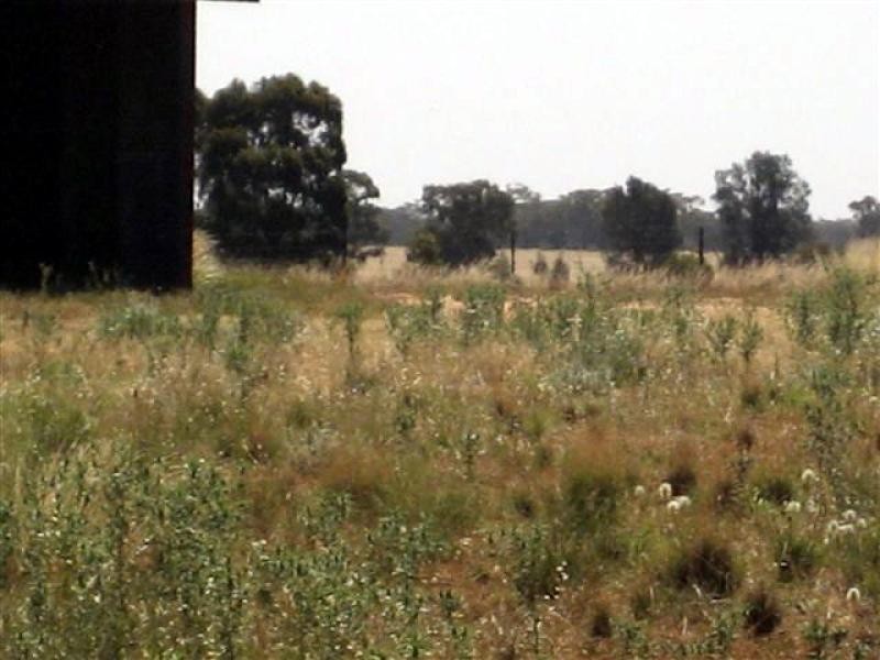 Tottenham NSW 2873