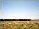 Tottenham NSW 2873