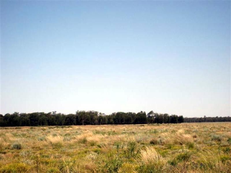 Tottenham NSW 2873