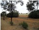 Tottenham NSW 2873