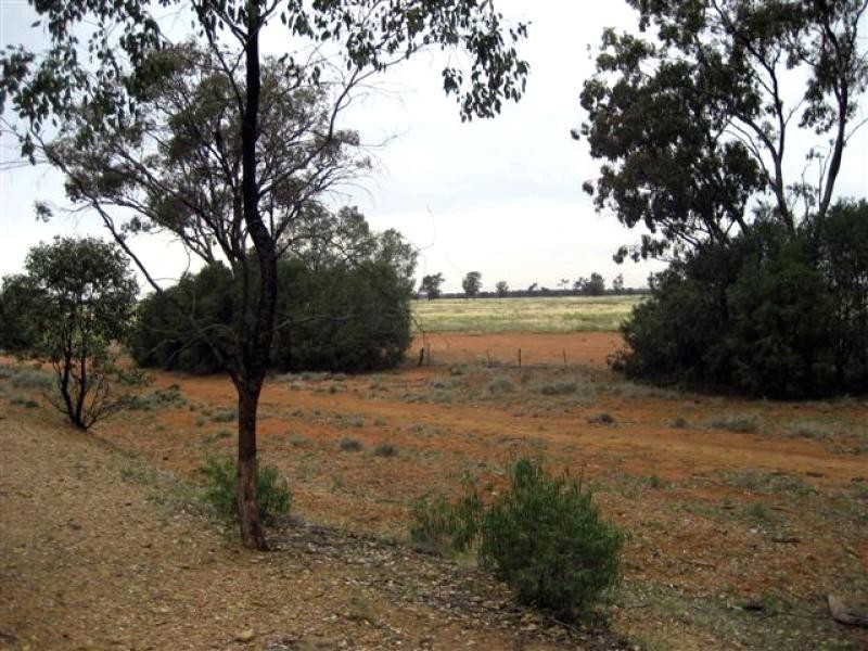 Tottenham NSW 2873