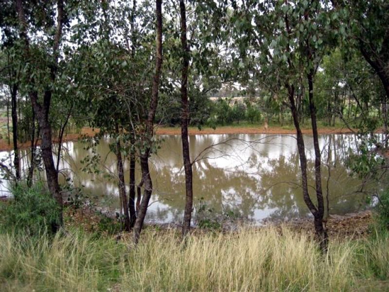 Tottenham NSW 2873