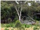 Tottenham NSW 2873