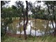 Tottenham NSW 2873
