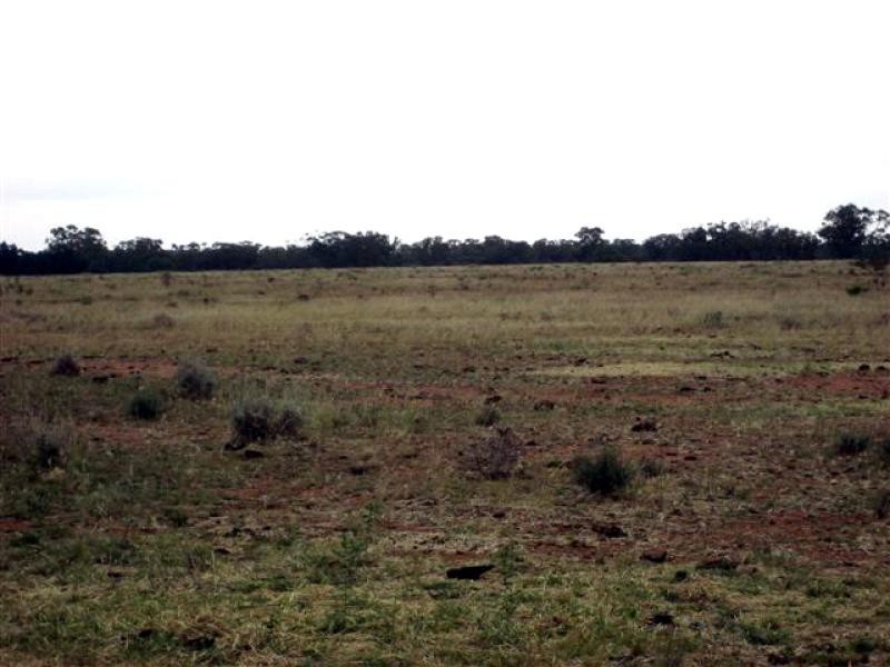 Tottenham NSW 2873
