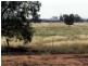 Tottenham NSW 2873