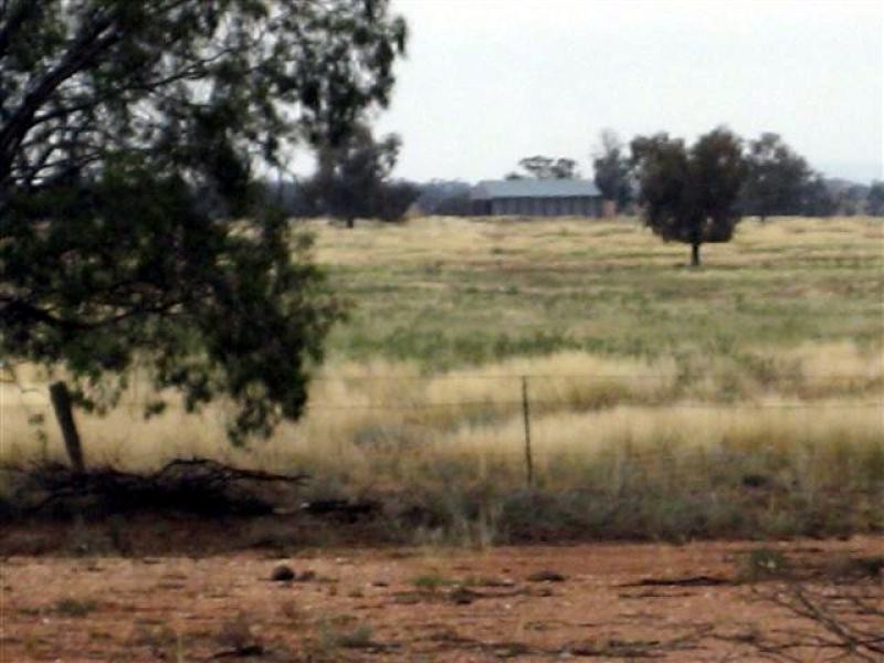 Tottenham NSW 2873