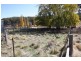 286 Redbank Road Rockley, Bathurst NSW 2795