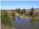 Aberdeen NSW 2336