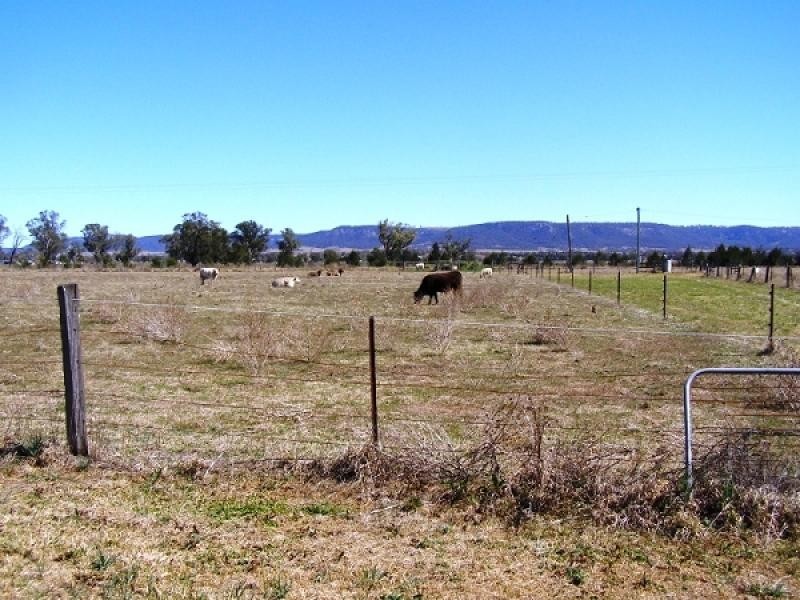 Aberdeen NSW 2336