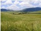 1247 Sandy Creek Road, McCullys Gap via, Muswellbrook NSW 2333