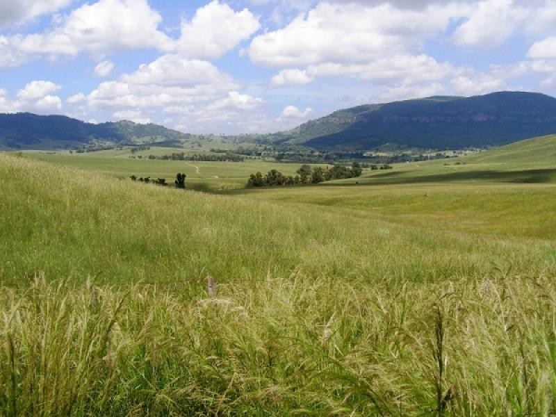 1247 Sandy Creek Road, McCullys Gap via, Muswellbrook NSW 2333