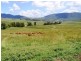 1247 Sandy Creek Road, McCullys Gap via, Muswellbrook NSW 2333