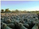 180km west/south/west of Bourke, Bourke NSW 2840