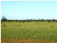 180km west/south/west of Bourke, Bourke NSW 2840