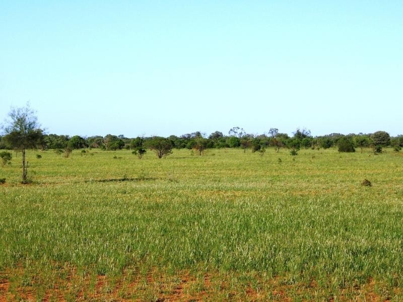 180km west/south/west of Bourke, Bourke NSW 2840