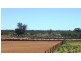 180km west/south/west of Bourke, Bourke NSW 2840