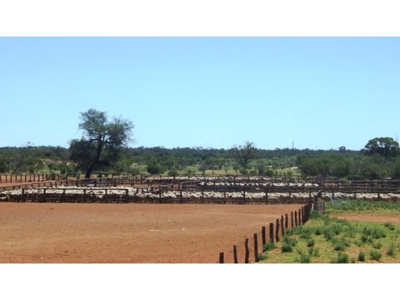 180km west/south/west of Bourke, Bourke NSW 2840