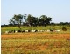 180km west/south/west of Bourke, Bourke NSW 2840