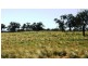 180km west/south/west of Bourke, Bourke NSW 2840