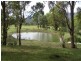 Murrurundi NSW 2338