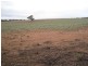 Brownlow SA 5374