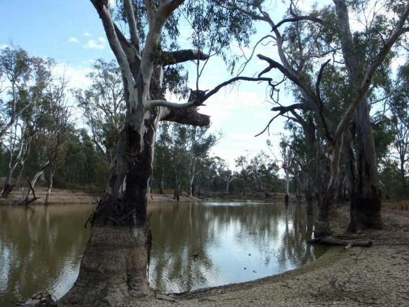 Lot 2 North Wakool Estates, Wakool NSW 2710