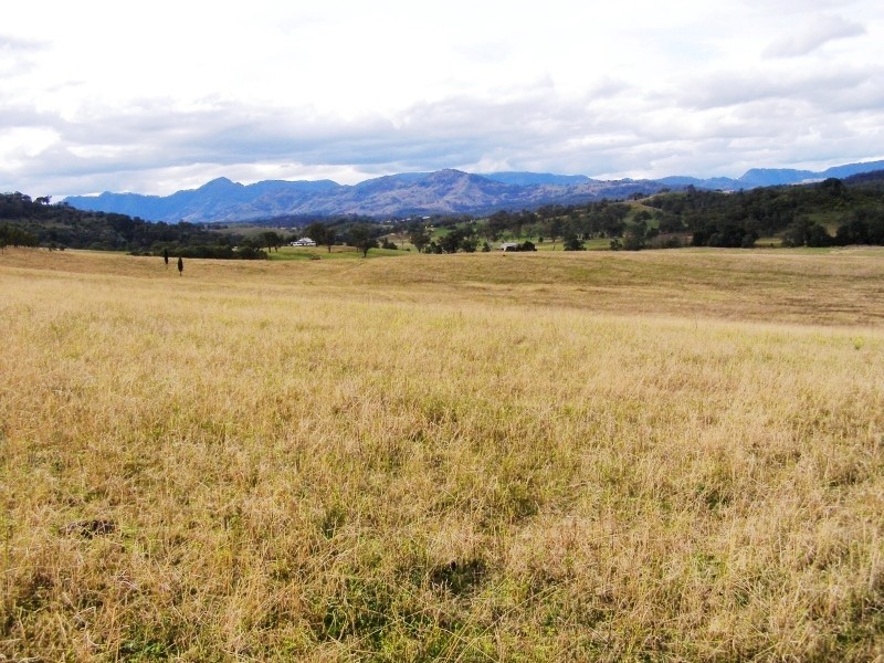 Scone NSW 2337