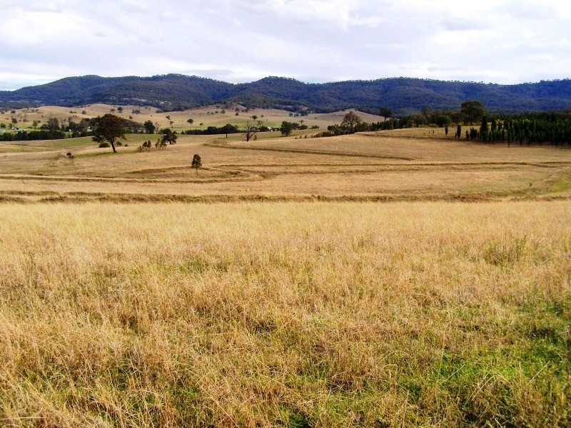 Scone NSW 2337
