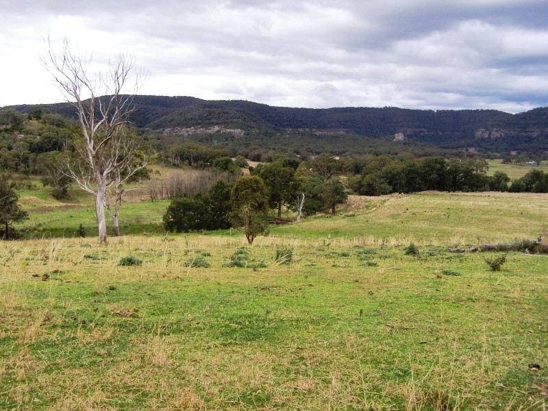 Scone NSW 2337