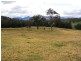 Scone NSW 2337