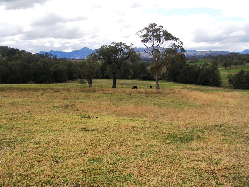Scone NSW 2337