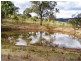Scone NSW 2337