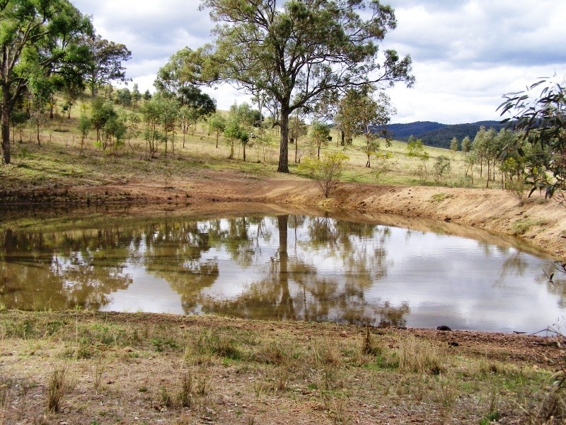 Scone NSW 2337